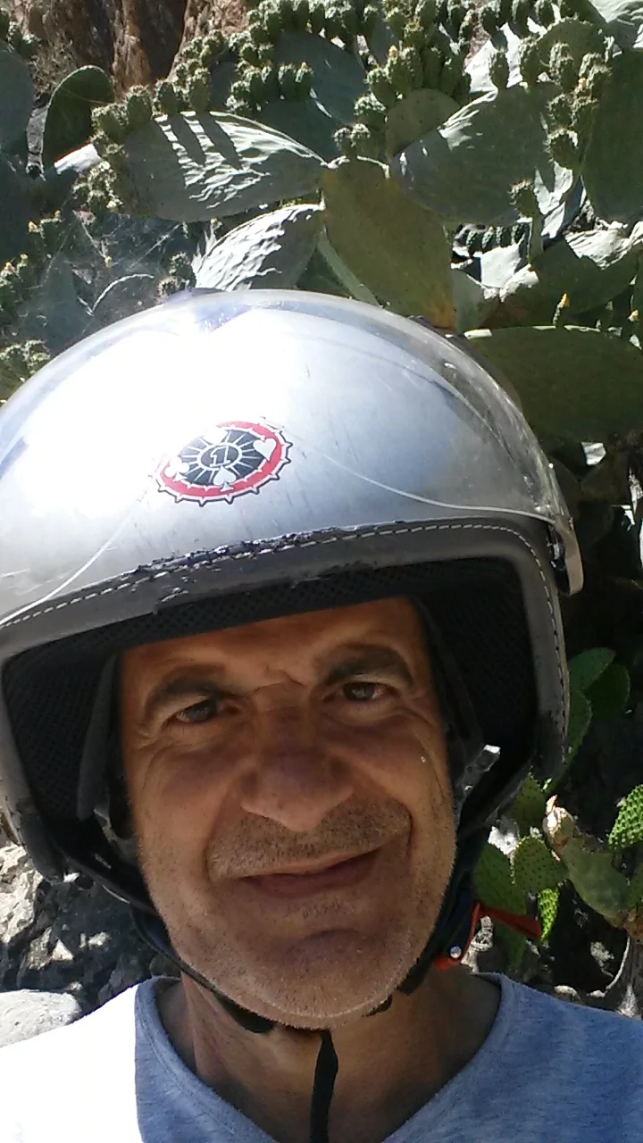 dmsweb avatar