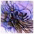 JosephLex avatar