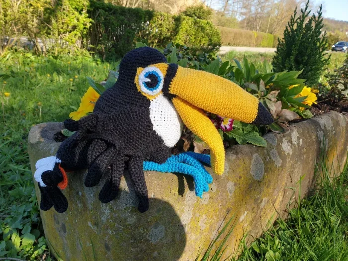 toucan