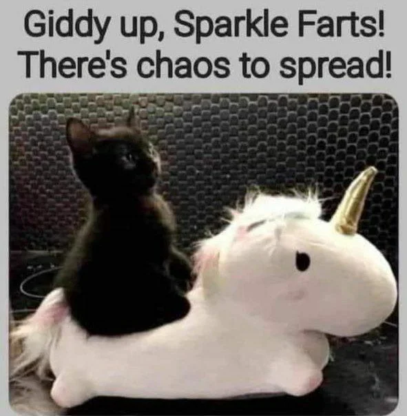 aIMG20251015081114525