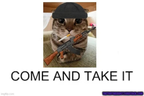 come-take-it-cat