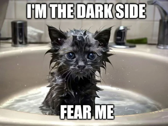 darkside