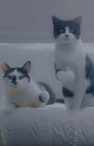 thumbsup