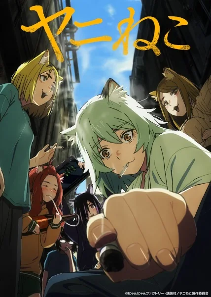 cat