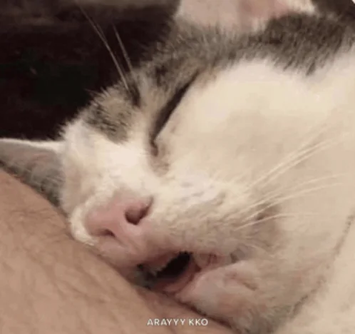 sleep