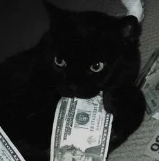 cat13