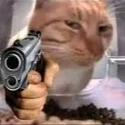 cat18