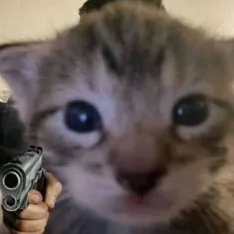 cat19