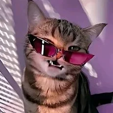 cat21