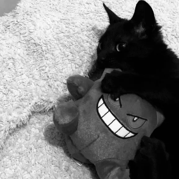 gengar