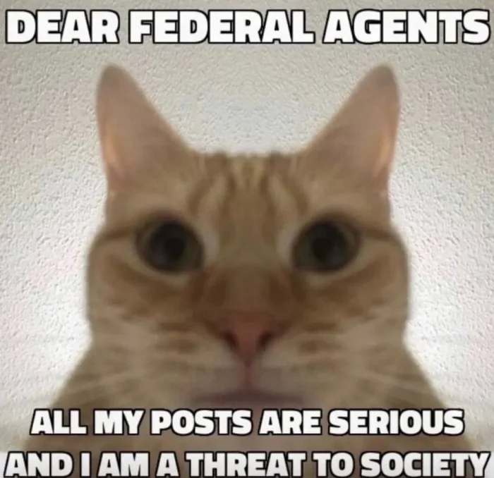 cat-society